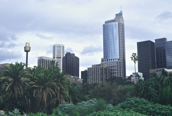 Sydney: park and skyscrapers... Photo: L. Bobke.